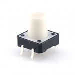 ��ǰ ������