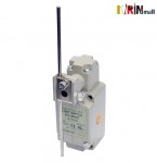 ��ǰ ������