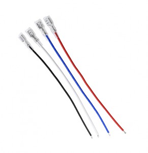 ��ǰ ������